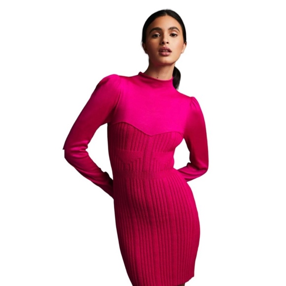 Anthropologie Dresses & Skirts - Anthropologie fuschia mini dress, MP, NWT